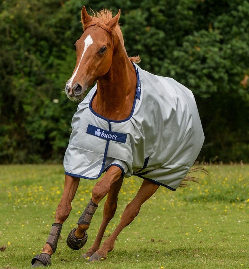 BUCAS Power Turnout Extra 300g Winterdecke Weidedecke Silver, Buc17_Gr.:155cm