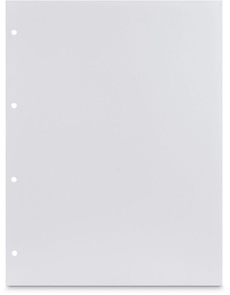 Carton photo, 23,3 x 31 cm, perforé, 25 feuilles, blanc Image du produit 