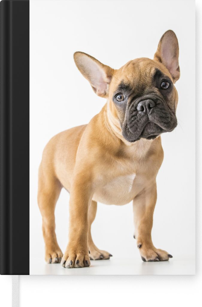 MuchoWow Notizbuch Tagebuch Haushaltsbuch Notebook A5 Französische Bulldogge - Braun - Weiß - Notizblock - Notizheft - Notebook - Schreibblock ...