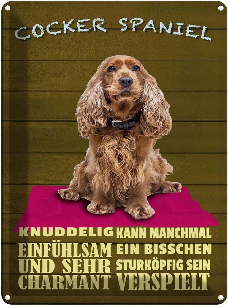 vianmo Blechschild 40x30 cm Cocker Spaniel Hund knuddelig Produktbild 
