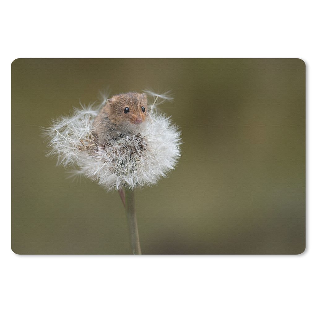 MuchoWow Schreibtischunterlage Maus - Jung - Blumen 60x40 cm - XXL Mauspad - Großes Mauspad
