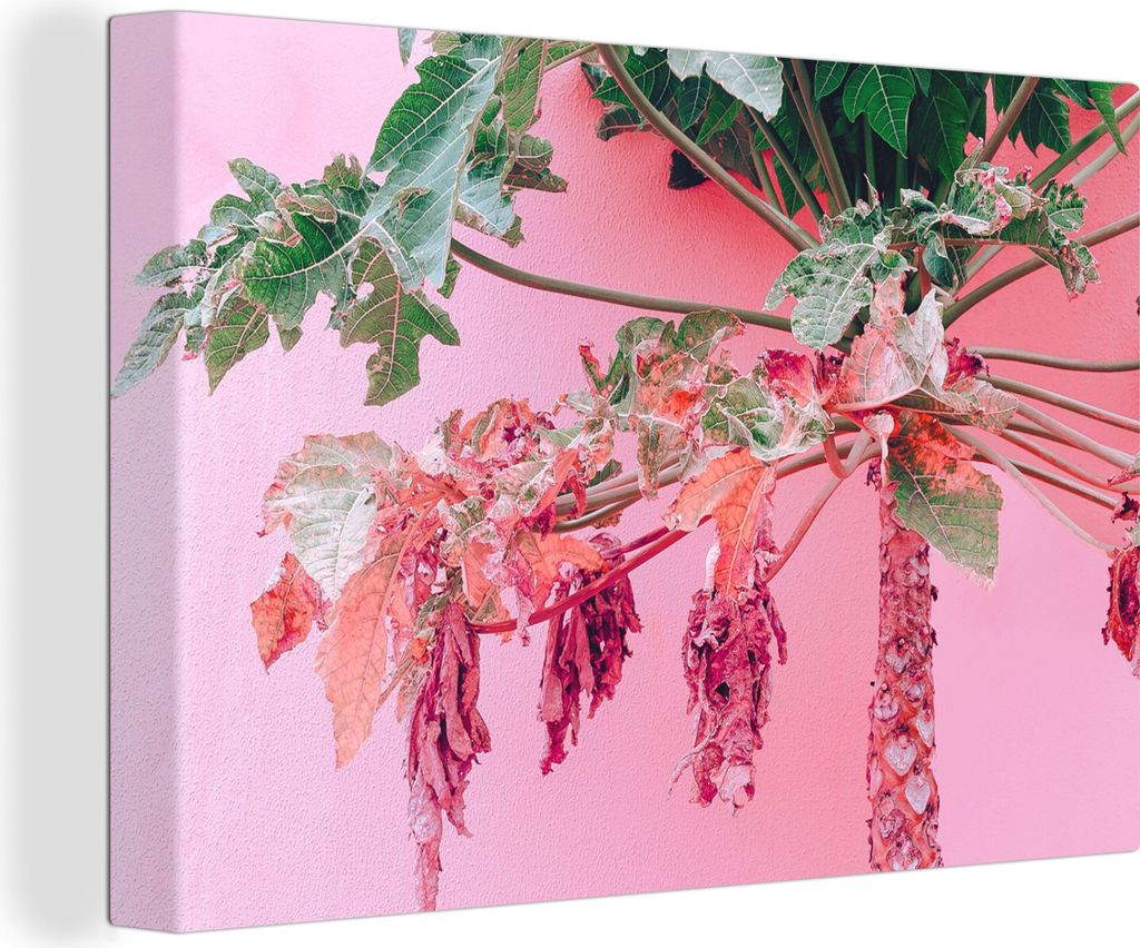 OneMillionCanvasses - Leinwandbilder - 140x90 cm, Palme - Tropisch - Rosa - Sommer, Wandbilder Kunstdruck Wanddekoration - Foto auf Leinwand - Ge...