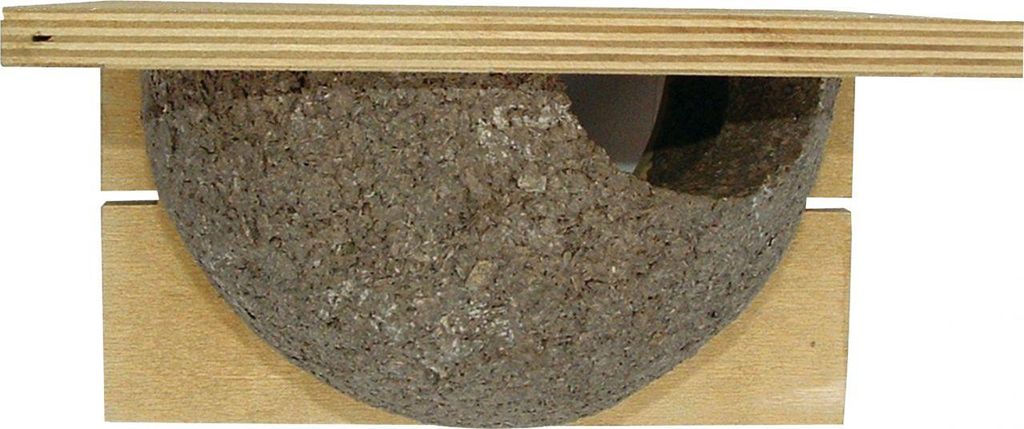 CJ Wildlife Nistkasten für Mehlschwalbe Cancun 16 x 20 cm Produktbild 