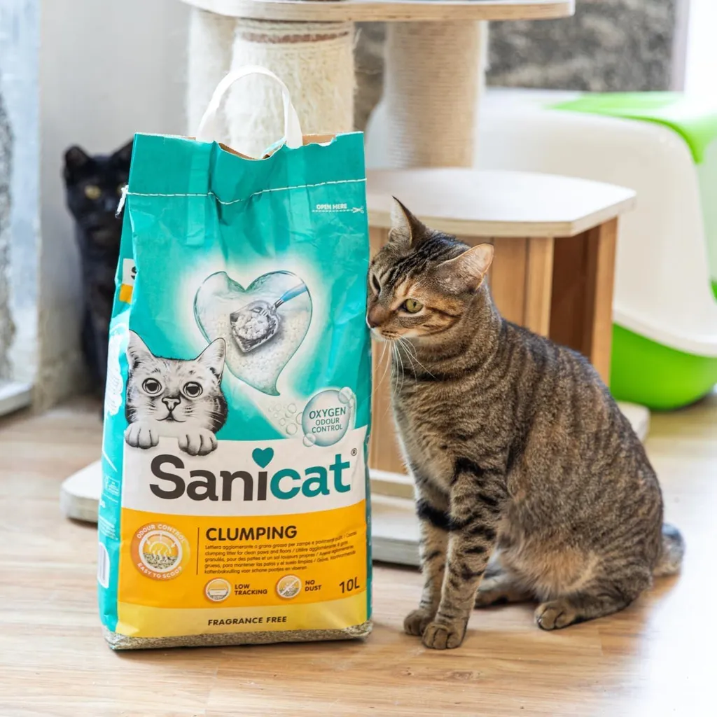 Litière pour Chat sans Odeur Sanicat 10L Bentonite Ultra Propreté
