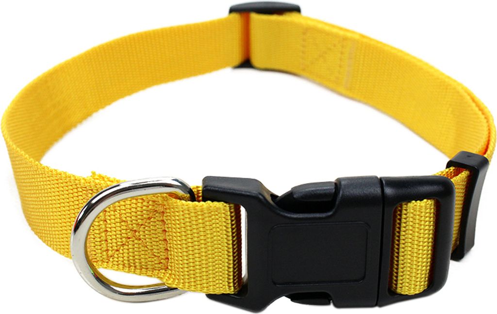 Robustes Hundehalsband aus Nylon – stufenlos verstellbar, Produktbild 
