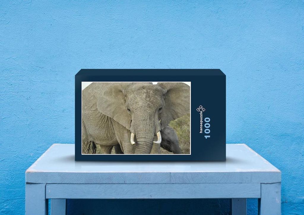 hansepuzzle 86681 - Elefant Puzzle, 1000 Teile, Tierwelt, 60,0 x 46,0cm mit hochwertiger Aufbewahrung, Kartonbox und wiederverschließbarem Beutel
