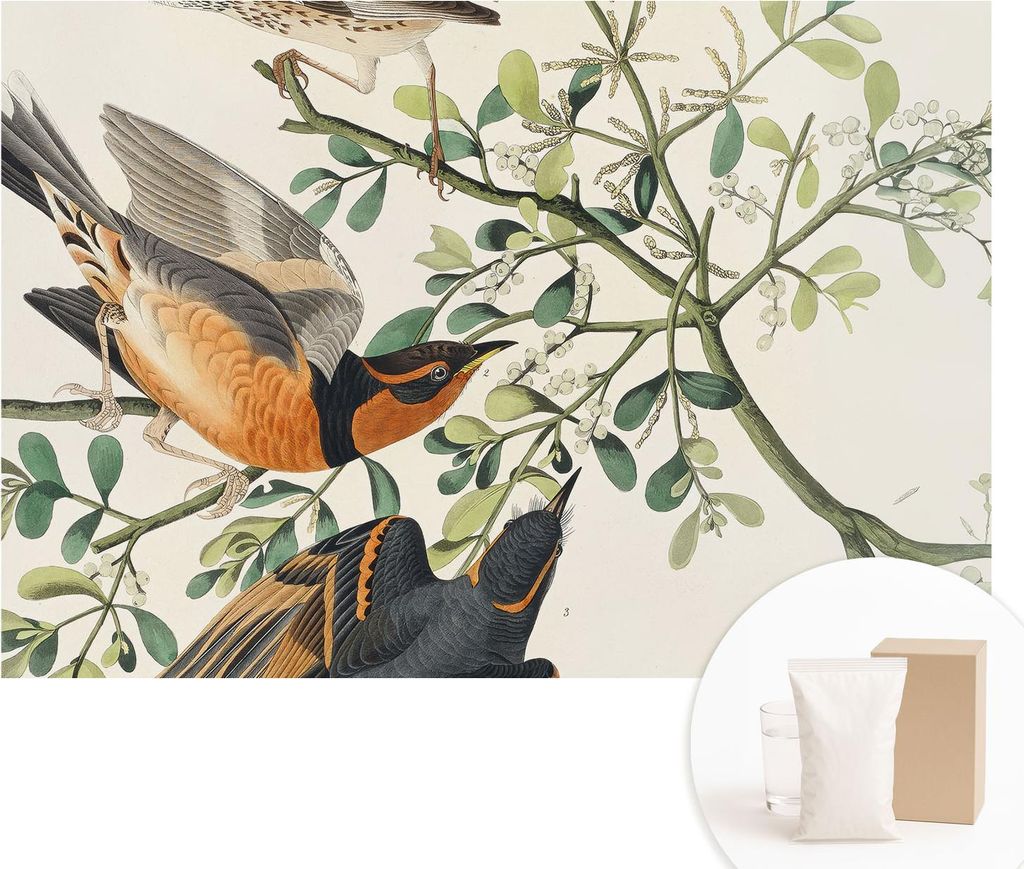 Fototapete - Wandbilder für Wohnzimmer - 152x104 cm - Dekorative Wandfolie - Modernes Design für Wanddekoration - Tapeten für Innenräume - Bunt...