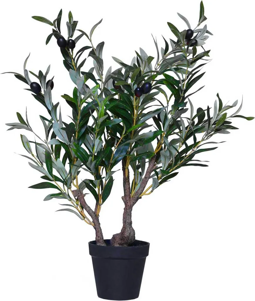 VIVANNO Oliveira plante artificielle organique vert naturel 50x60 cm