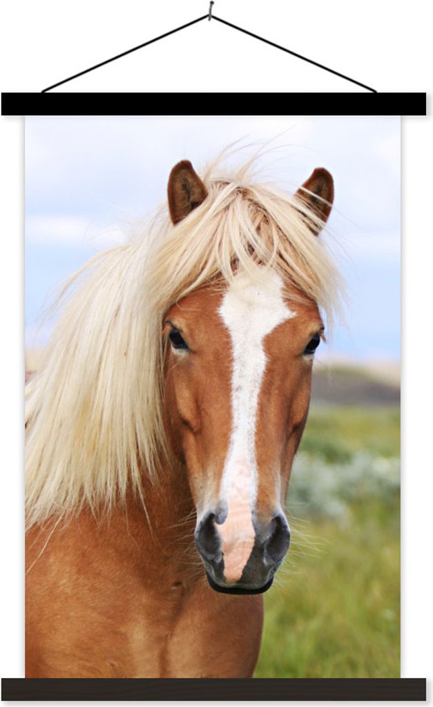 MuchoWow Textilposter Porträt eines Islandpferdes 40x60 cm mit schwarzem Rahmen - Wanddekorationen