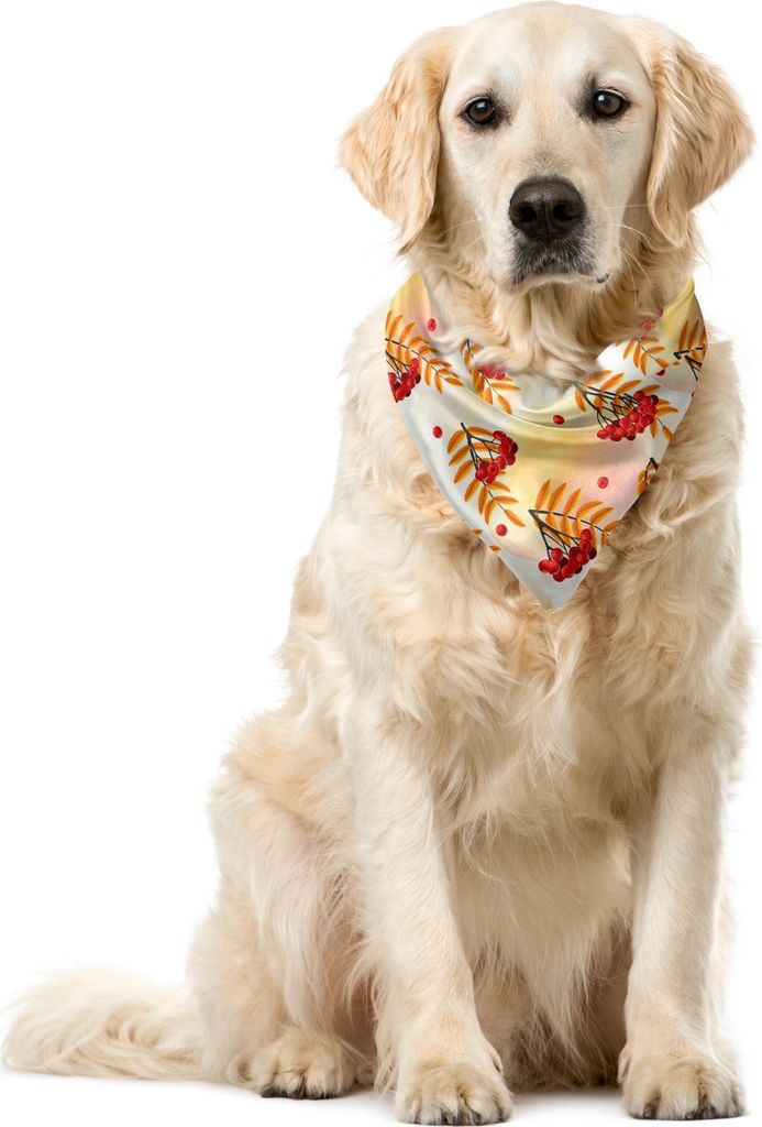 ABAKUHAUS Eberesche Haustier Bandana, Romantische Herbstsaison Tile, 55x55 cm, Orange Red Peach