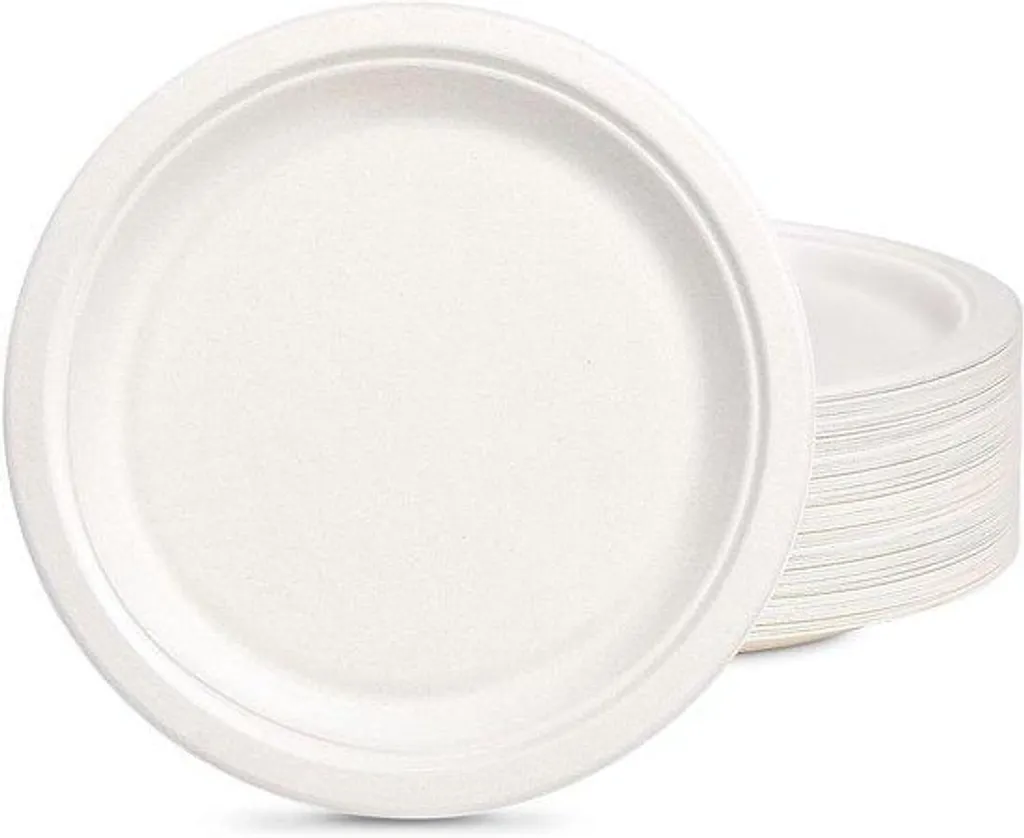 Assiettes de Fête en Papier Blanc : Vaisselle Jetable Large 26 cm