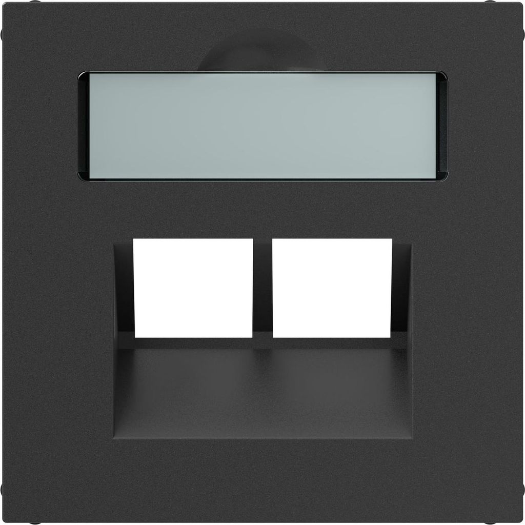 Legrand SEANO Abdeckung 2x RJ45 für Datendosen von Metz, Telegärtner und Rutenbeck, inkl. Beschriftungsfeld, Anthrazit, 765459