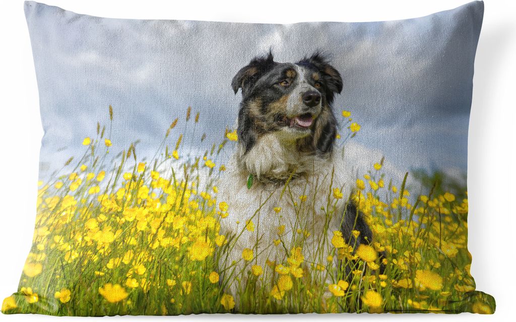 MuchoWow Outdoor Kissen - Ein Border Collie zwischen gelben Blumen - 50x30 cm - Wetterfest - Lounge Kissen - Sofa kissen - Wohnzimmer Dekoration