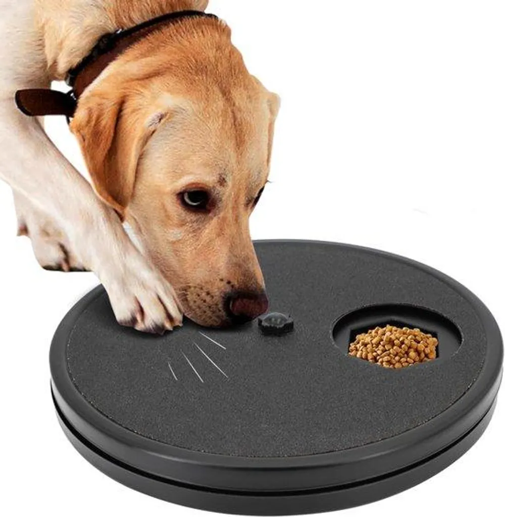 Lime à griffes pour chien - Griffoir interactif avec cachette à croquette