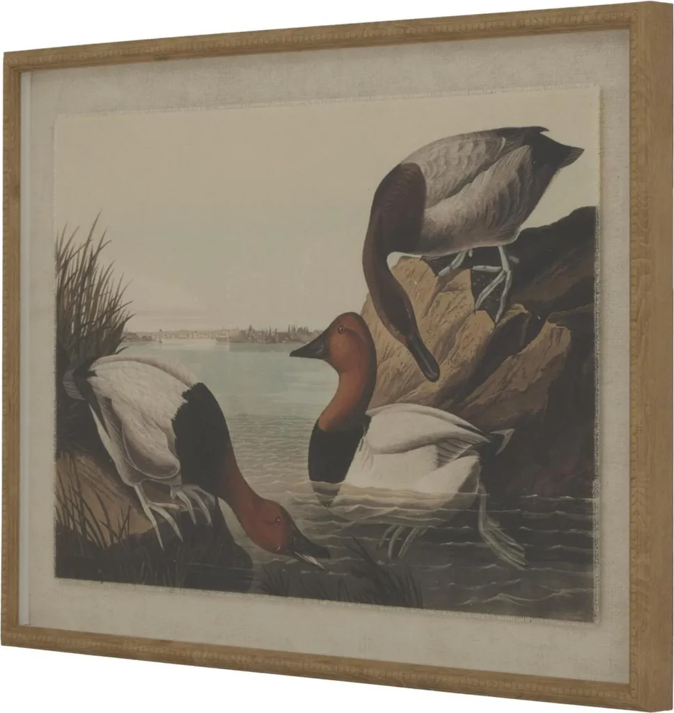 Tableau Canards de Table Flora & Fauna encadré 45x62 cm Hill Interiors