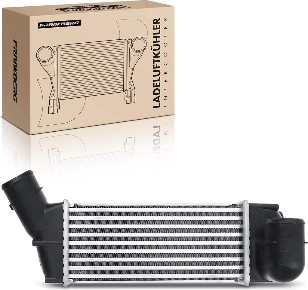Frankberg Intercooler Refroidisseur d'Air pour Peugeot 307 308 Citroën C4