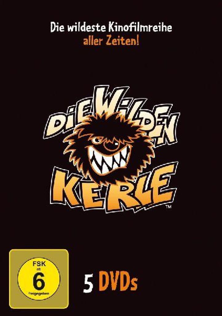Die Wilden Kerle 1-5 Sammelbox Produktbild 