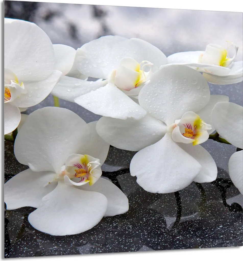 Coprifornelli in Vetro 60x65 Orchidea: Protezione Piano Cottura
