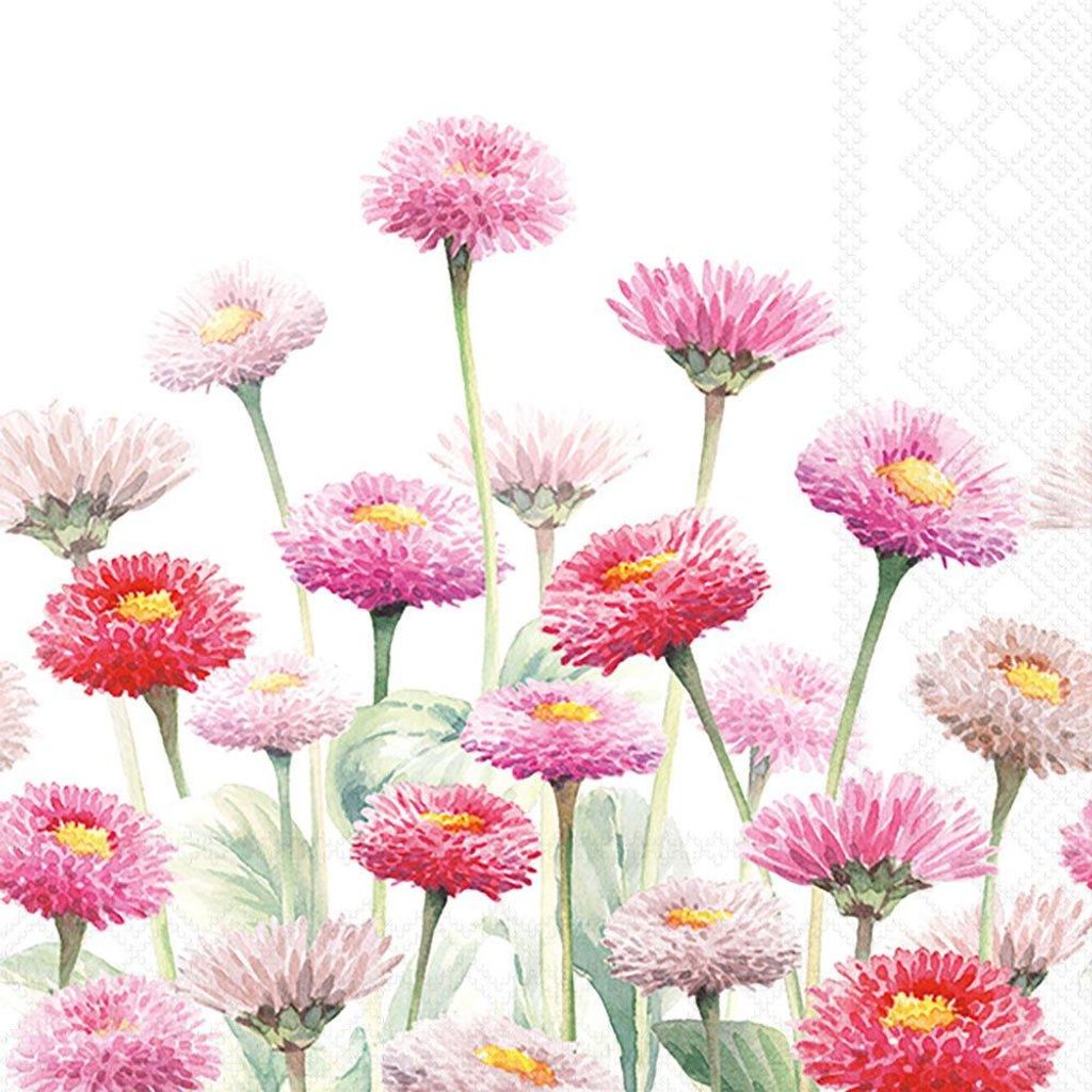 Servietten 33x33 cm - Painted bellis