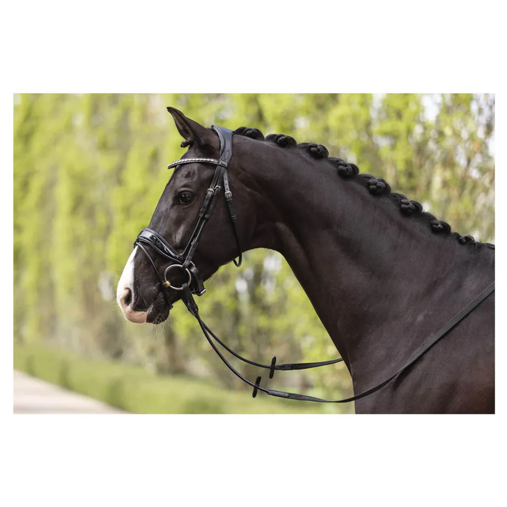 Bridon Anatomique ATH19002 ANKY avec Muserolle Rembourrée Confort Noir - 4