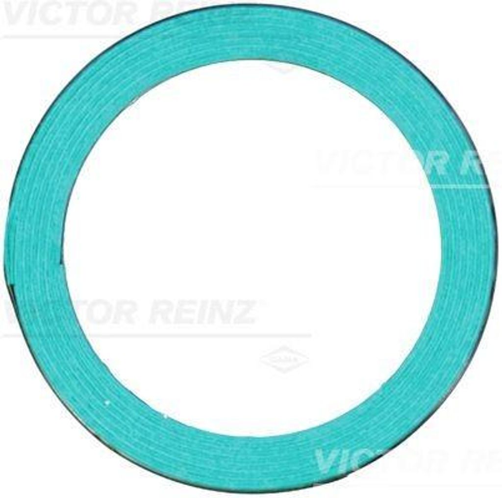 REINZ 71-24555-00 Auspuffdichtung Auspuffdichtung für LEXUS IS III (GSE3, AVE3)