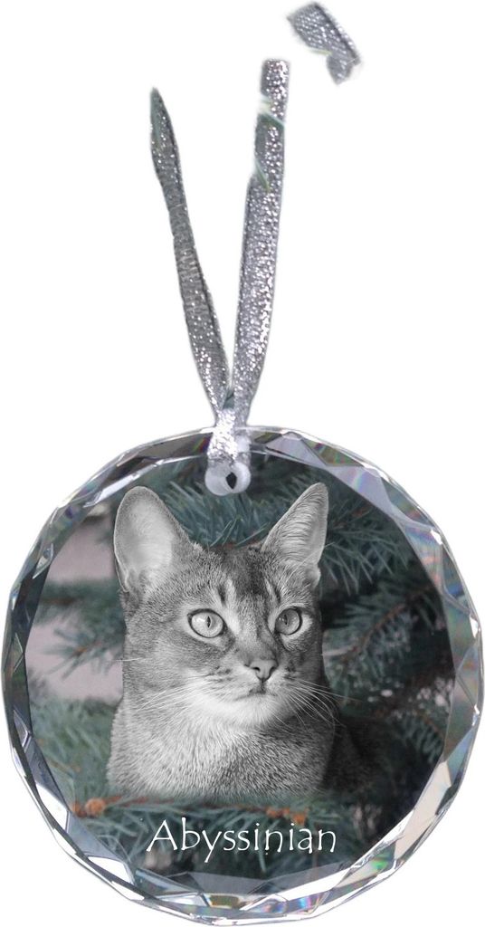 Abessinier - Kristallkugel mit Foto, Katzenfoto im Kristall, personalisierter Weihnachtsbaumanhänger von Art-Dog.