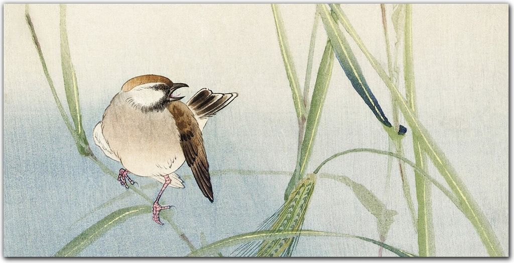 Coloray - Bild aus Glas - Glasbilder - 100 x 50 cm - Küche Wanddekoration Dekoration Wohnzimmer Gehärtetes Glas Glasblock mit Bild - Tier Vogel S...