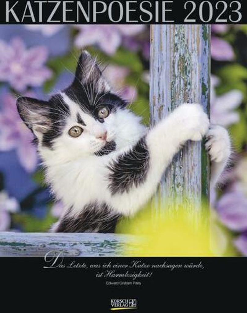 Katzenpoesie 2023 Produktbild 