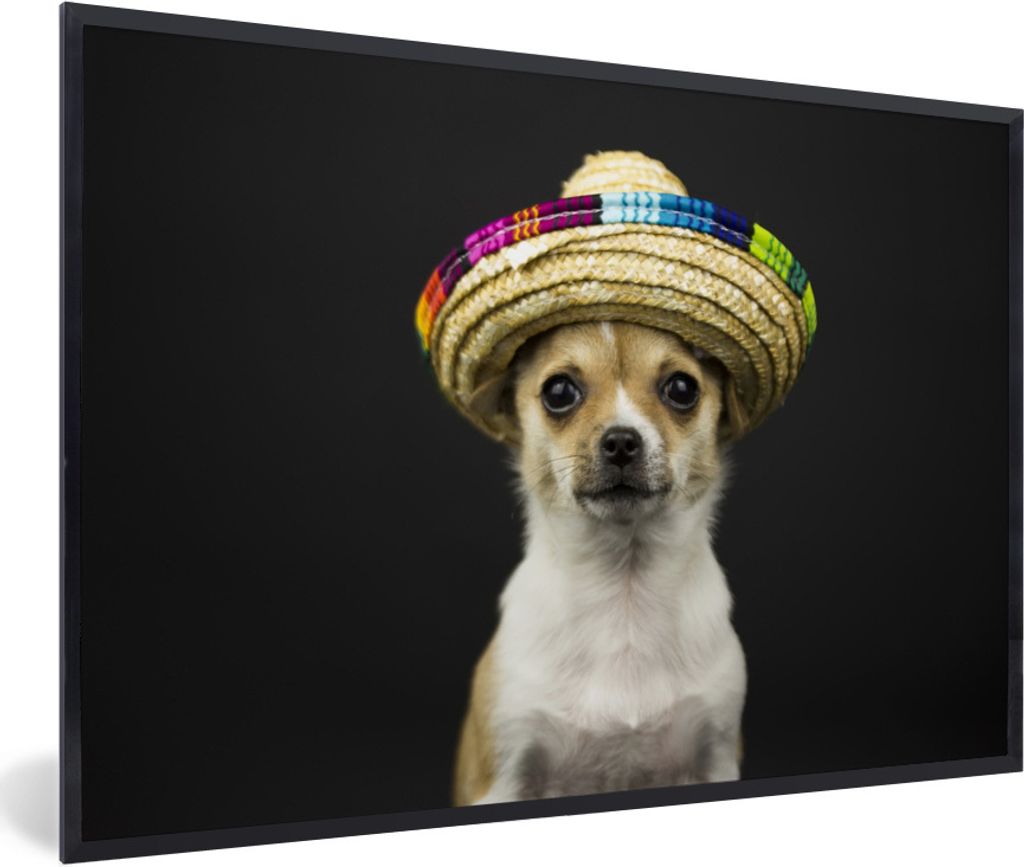 MuchoWow Gerahmtes Poster Hund - Sombrero - Schwarz 90x60 cm - Poster mit Schwarzem Bilderrahmen Wandposter Rahmen Foto Bilder - Fotorahmen - Fot...