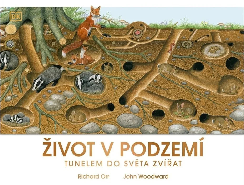 Apprendre la Biodiversité avec La Vie Souterraine par Joyce Pope : 25cm