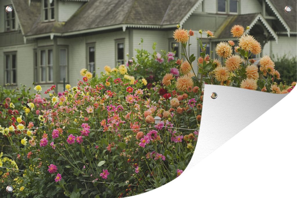 MuchoWow 60x40 cm Outdoor-Poster Gartendeko Sichtschutz Garten Poster für den Garten Dahlien bei einem Haus