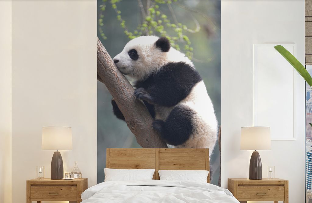 MuchoWow Fototapete für Wohnzimmer oder Schlafzimmer Wandtapete Vinyl Motivtapete Panda - Tier - Baum - 120x240 cm - Hintergrundbild