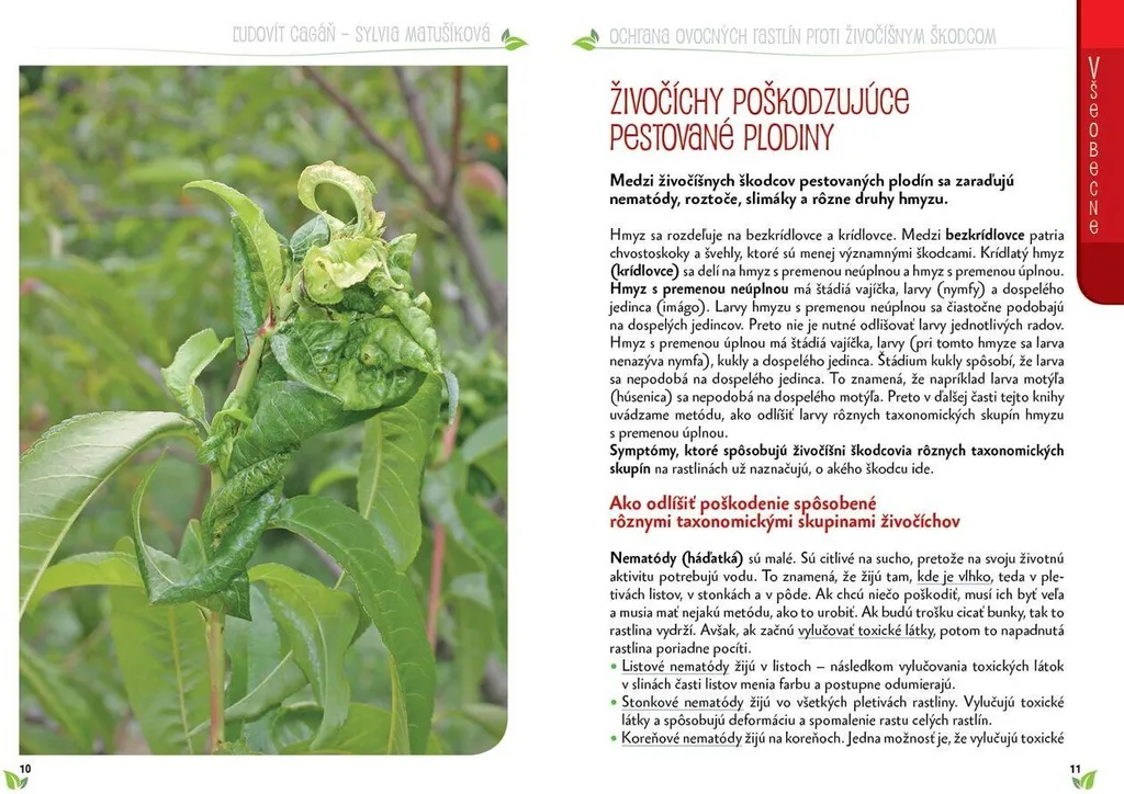 Protéger Arbres Fruitiers des Insectes : Guide de Solutions Pratiques