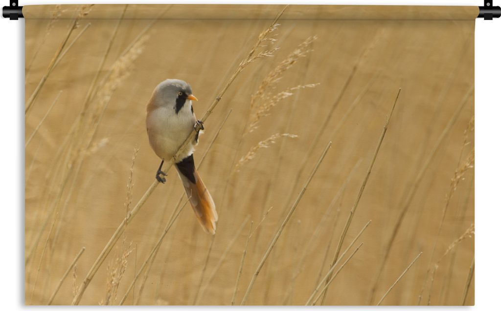 MuchoWow Wandteppich Wandbehang Bild eines Bartmeisenbärblings im gelben Schilf 90x60 cm Tapisserie Dekoration Wandtuch - Wandskulpturen - Bildt...