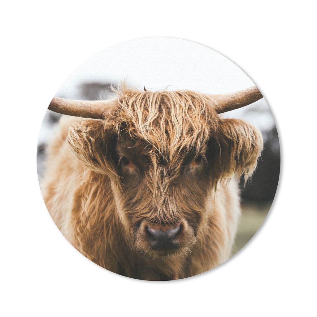 MuchoWow Mauspad Mousepad Schottischer Highlander - Kuh - Gras - Tiere - Natur 30x30 cm - Mousepads - Maus Mat - Pad - Mausunterlage - Tischunter...