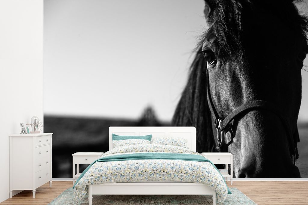 MuchoWow Fototapete für Wohnzimmer oder Schlafzimmer Wandtapete Vinyl Motivtapete Nahaufnahme eines Pferdes mit Halfter in schwarz-weiß - 525x3...