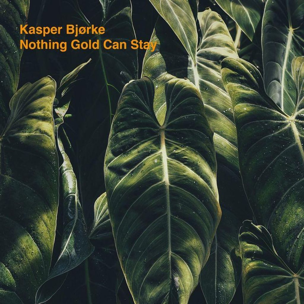 Kasper Björke: Nothing Gold Can Stay EP (Limited Edition) (Orange Vinyl) - jpc Schallplatten - (LP / N)