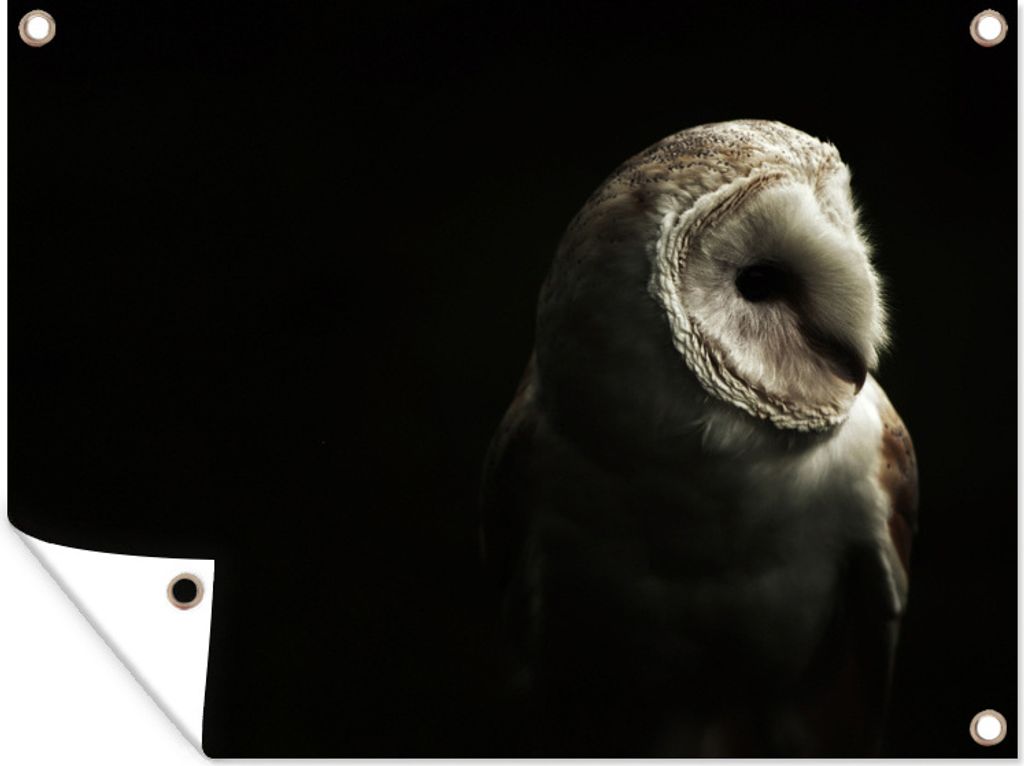 MuchoWow 40x30 cm Outdoor-Poster Gartendeko Sichtschutz Garten Poster für den Garten Eule - Vogel - Porträt