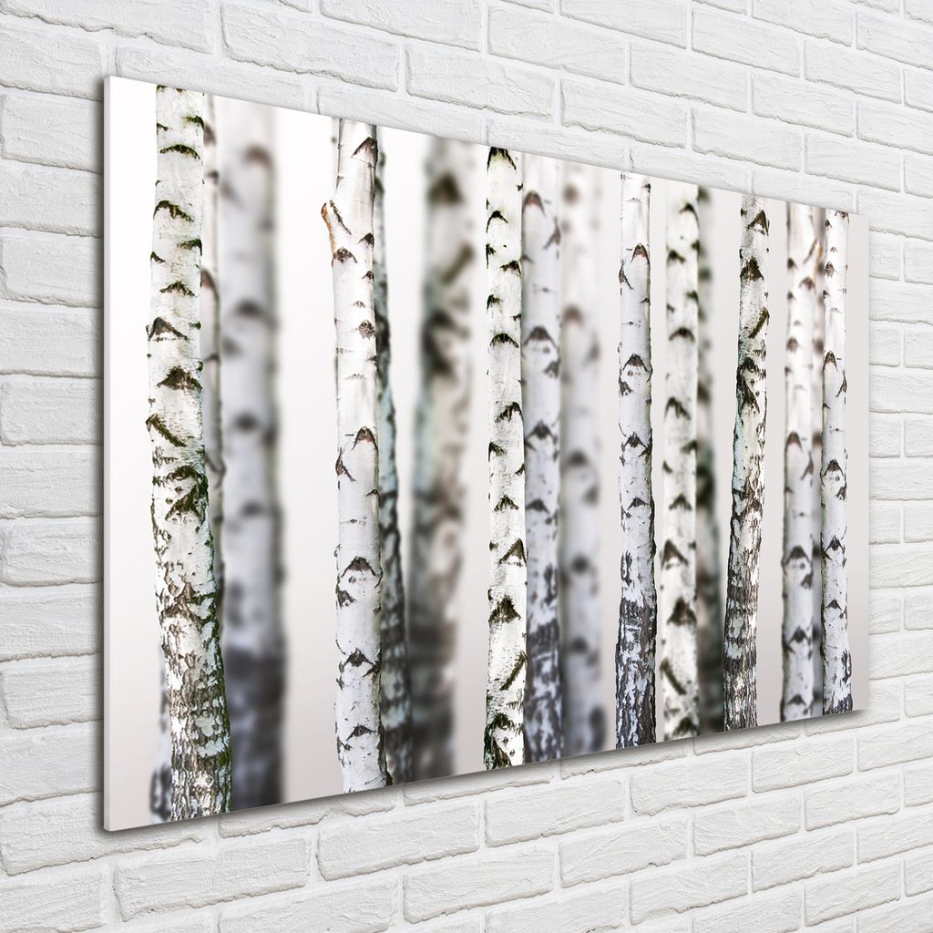 Tulup Glas-Bild - 100 x 70 - Wandbild aus Glas - Wandkunst - Wandbild hinter gehärtetem Sicherheitsglas - Blumen & Pflanzen - Birkenstämme - Weiß