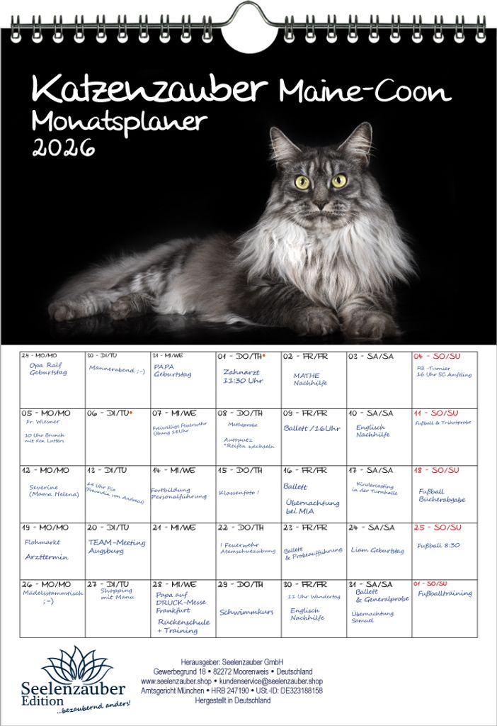 Katzenzauber Maine-Coon Planer DIN A4 Kalender für 2026 Katzen und Katzenbabys - Seelenzauber