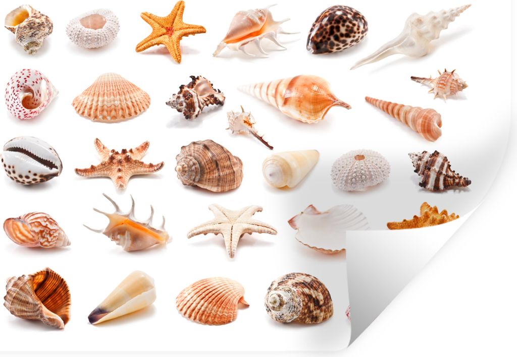 MuchoWow - Selbstklebend - Fototapeten