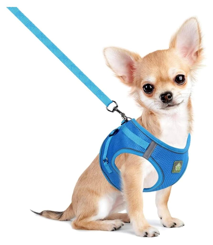 Hundegeschirr mit Leine für kleine Hunde und Katzen, weiches Mesh, atmungsaktiv, verstellbar, reflektierend, No Pull Weste für Chihuahua und Katze