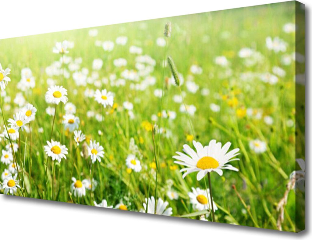 Tulup Leinwand-Bilder 100x50 Wandbild Canvas Kunstdruck Produktbild 