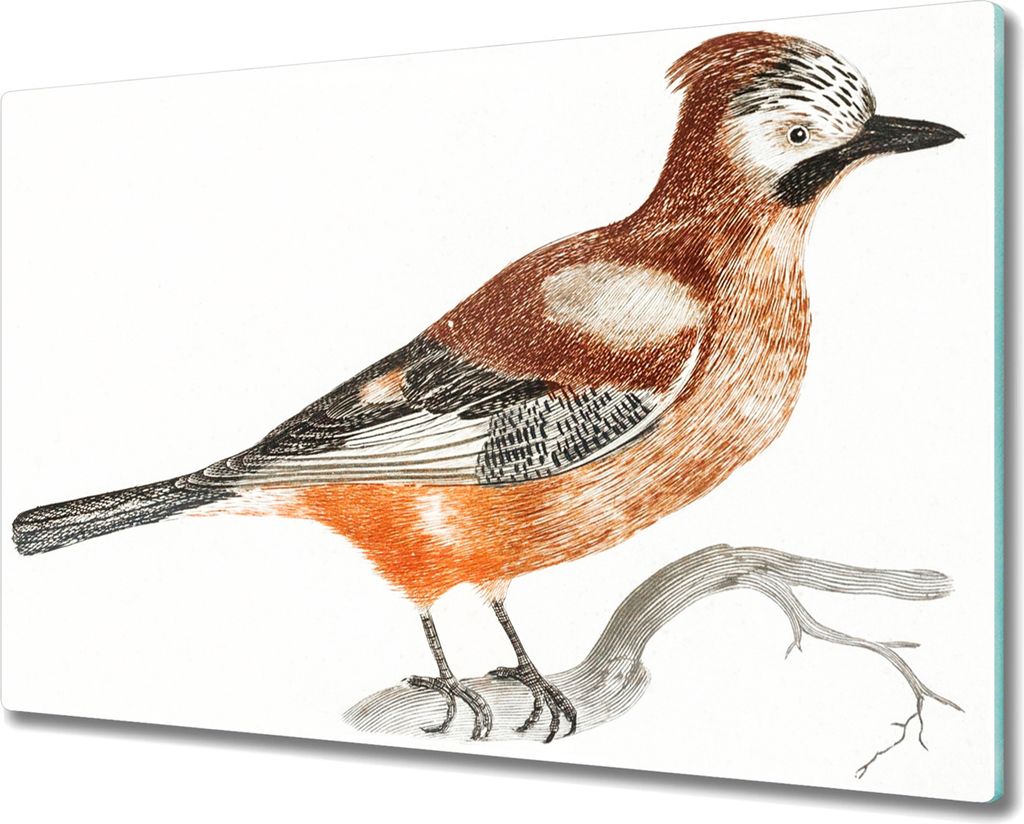 Coloray Kochplattenabdeckung Herdabdeckplatte 80x52 cm Hackbrett Schneidebrett Küchenbrett - Tier Vogel Zweig