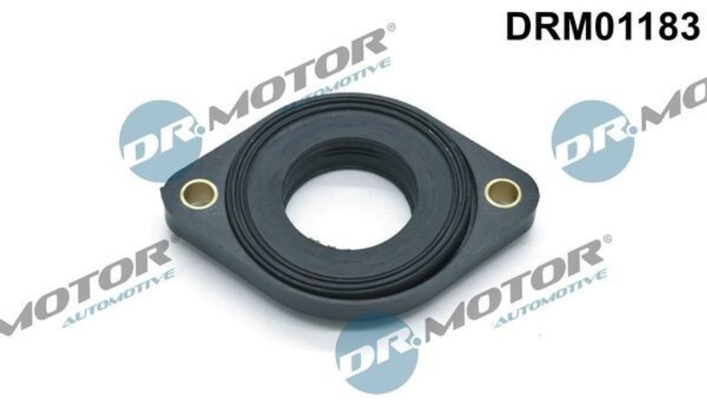 DR.MOTOR AUTOMOTIVE Nockenwellenversteller-Dichtung Dichtung Nockenwellenversteller DRM01183 für BMW 5 Limousine (E39)