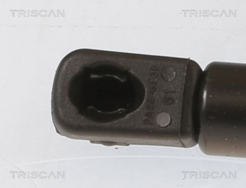 TRISCAN Gasfeder, Koffer-/Laderaum Links Rechts 8710 292070