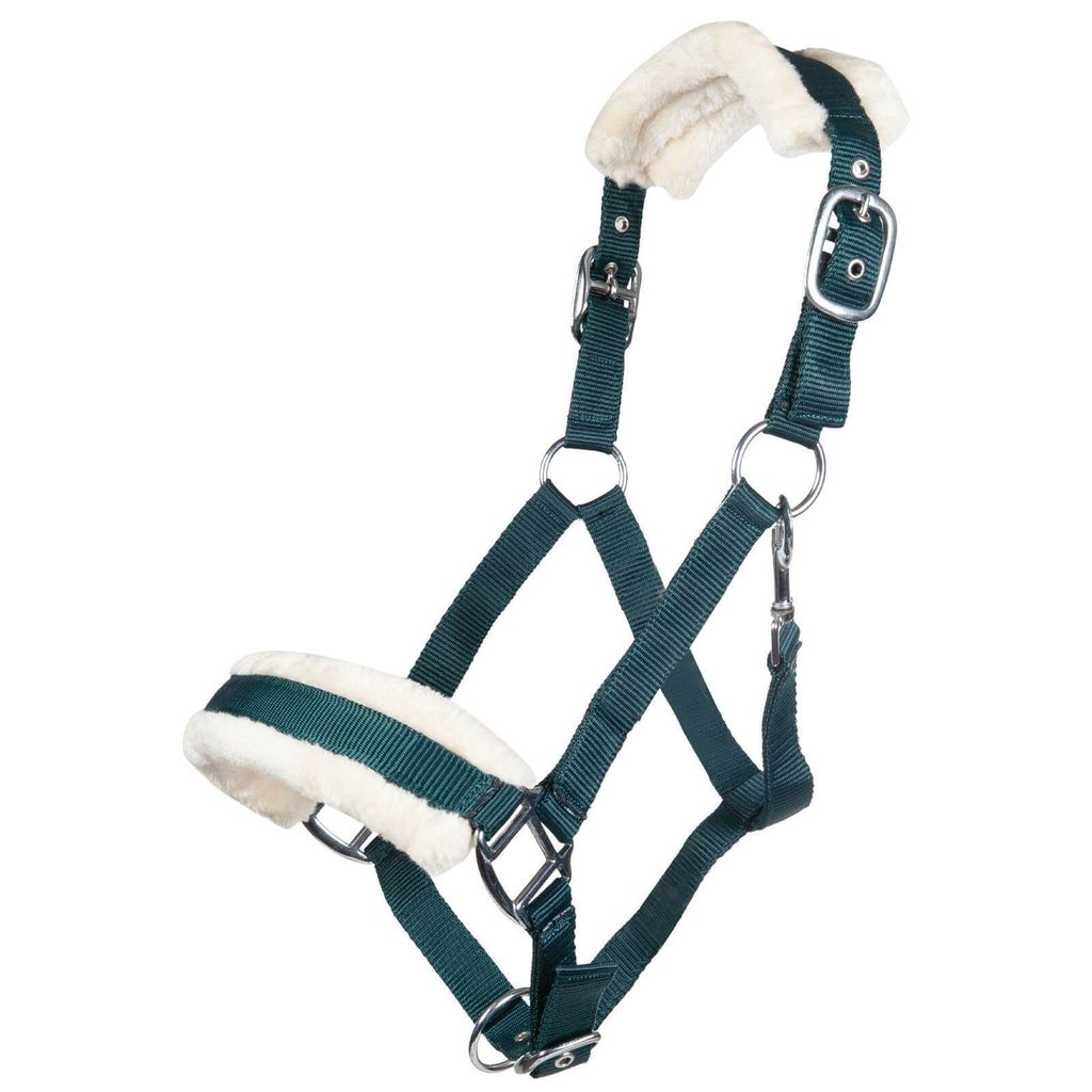 HKM Halfter mit Plüschpolsterung Bischofshofen Dunkelgrün Warmblut