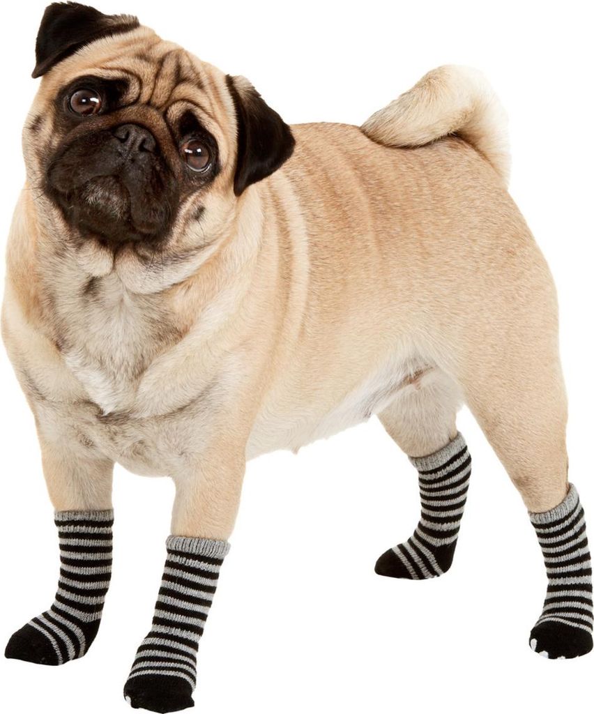 Calzini per cani Karlie Sockies nero-grigio confezione da 4 Immagine del prodotto 
