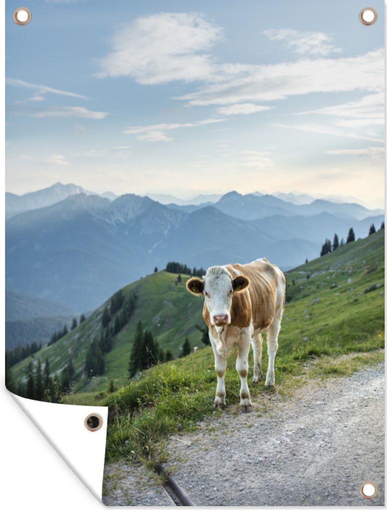 MuchoWow 30x40 cm Outdoor-Poster Gartendeko Sichtschutz Garten Poster für den Garten Bayerische Kuh in den Alpen