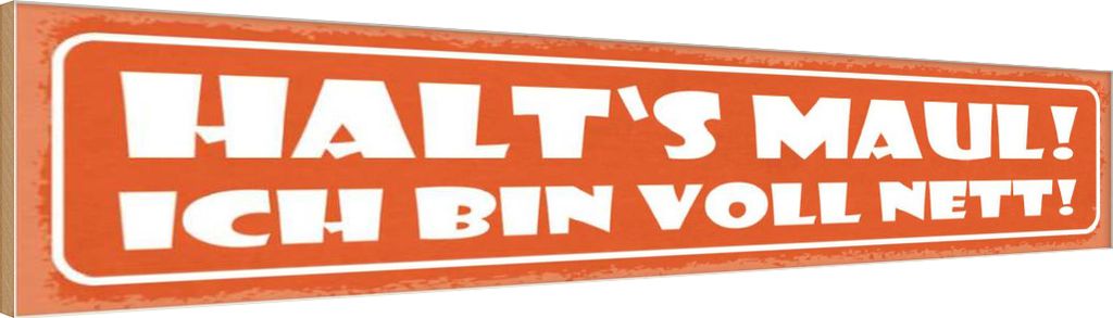 vianmo Holzschild 10x46 cm halt`s Maul ich bin voll nett